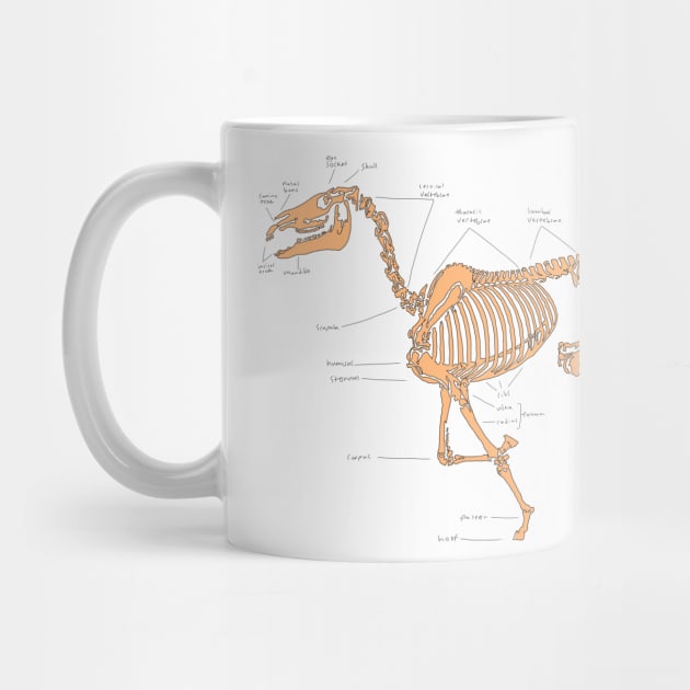 Skeleton horse anatomical sketch (tan) by RavenRarities